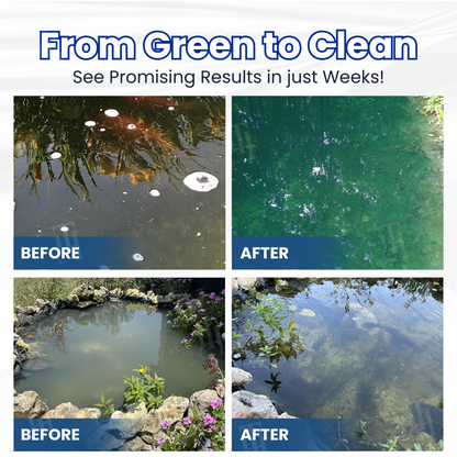 AEXZR® Aqua-Guardian Pro Formula🐟 From Swampy Green to Crystal Clear – Fast-Acting & Safe for Animals